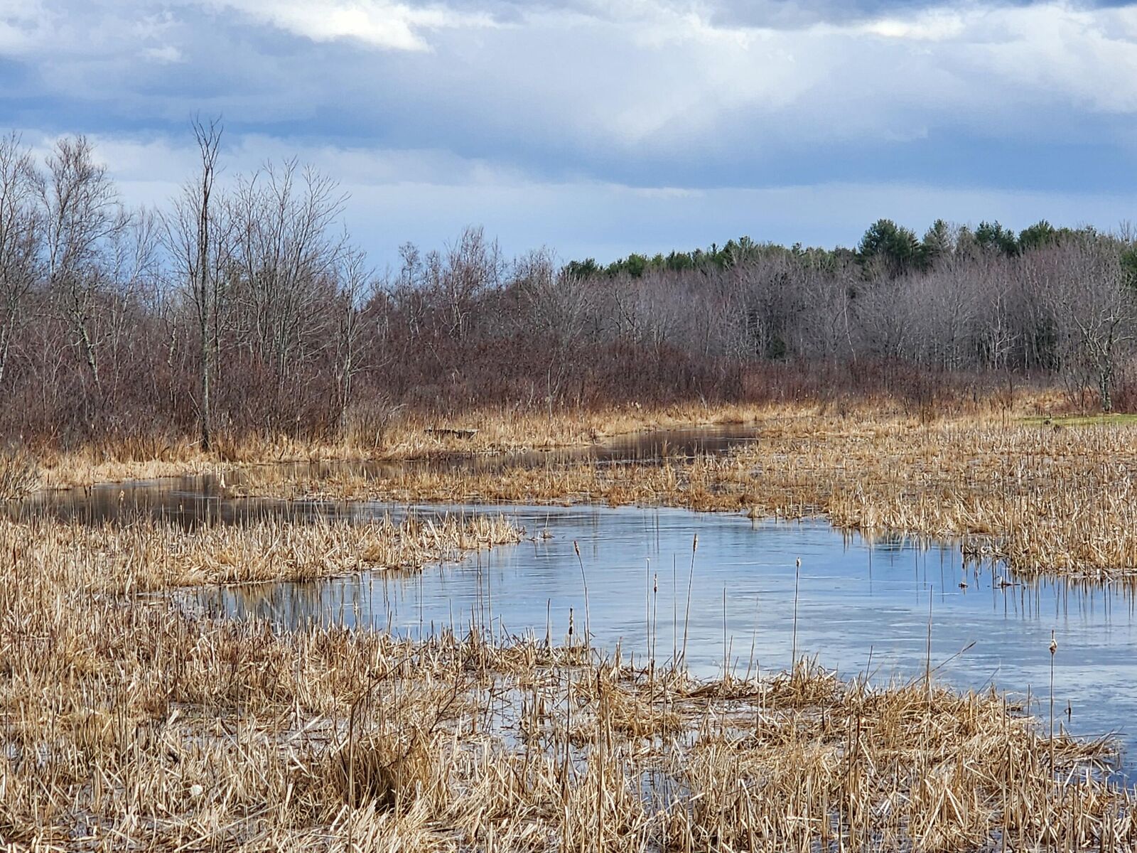 Property Photo:  8 Goose River Estates  ME 04915 