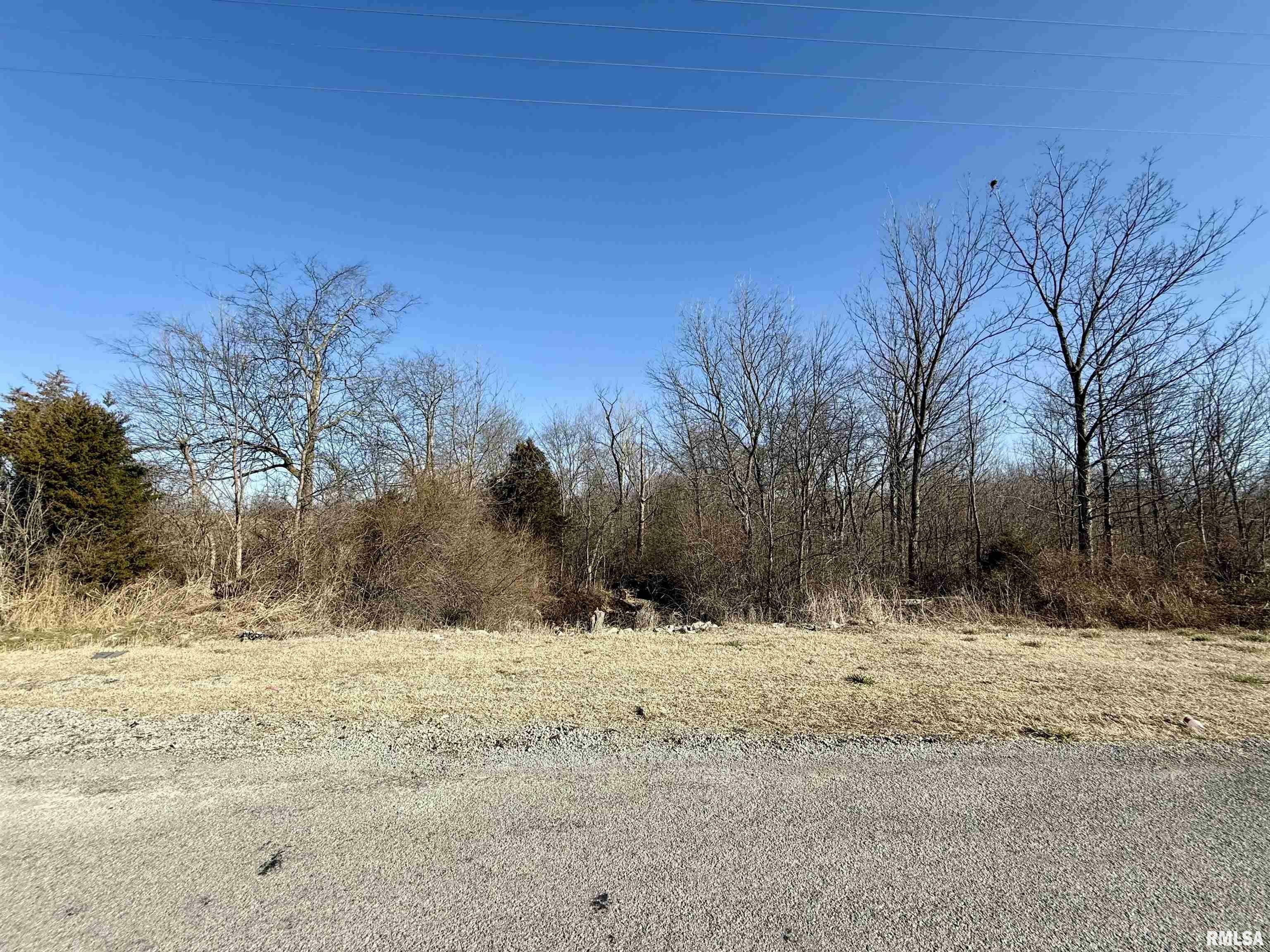 15905 Highway 127  Murphysboro IL 62966 photo