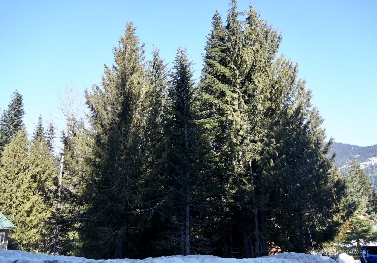 Property Photo: 0 - Lot 56 Snoqualmie Drive WA 98068