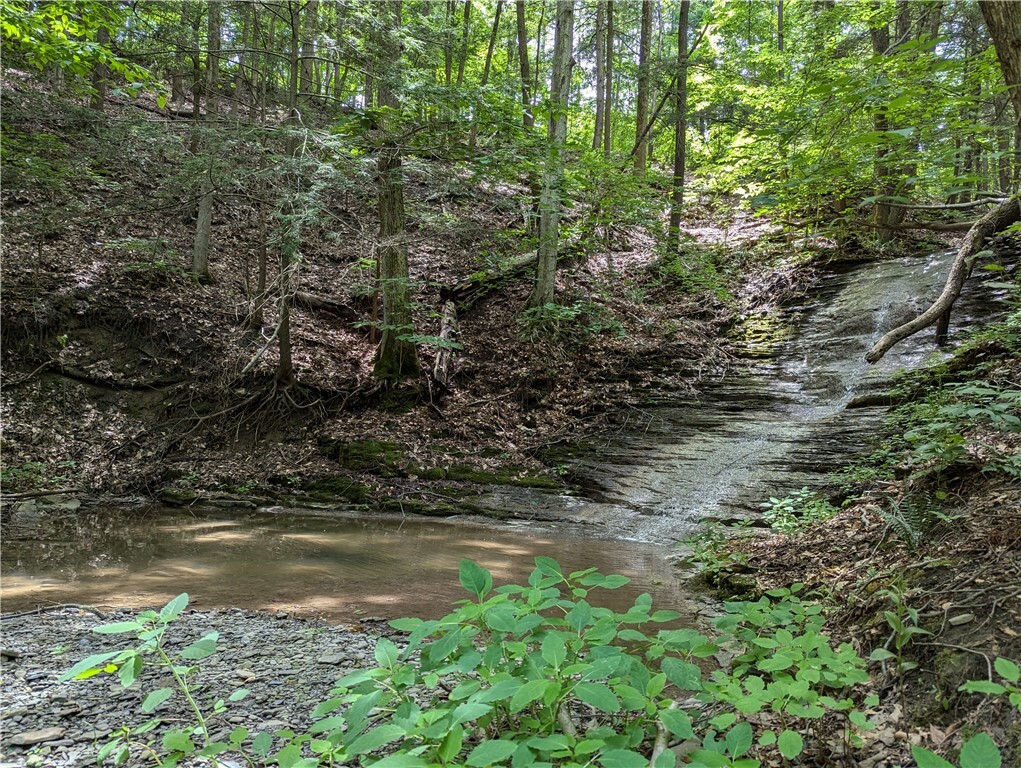 Property Photo: Elmira Road NY 14867