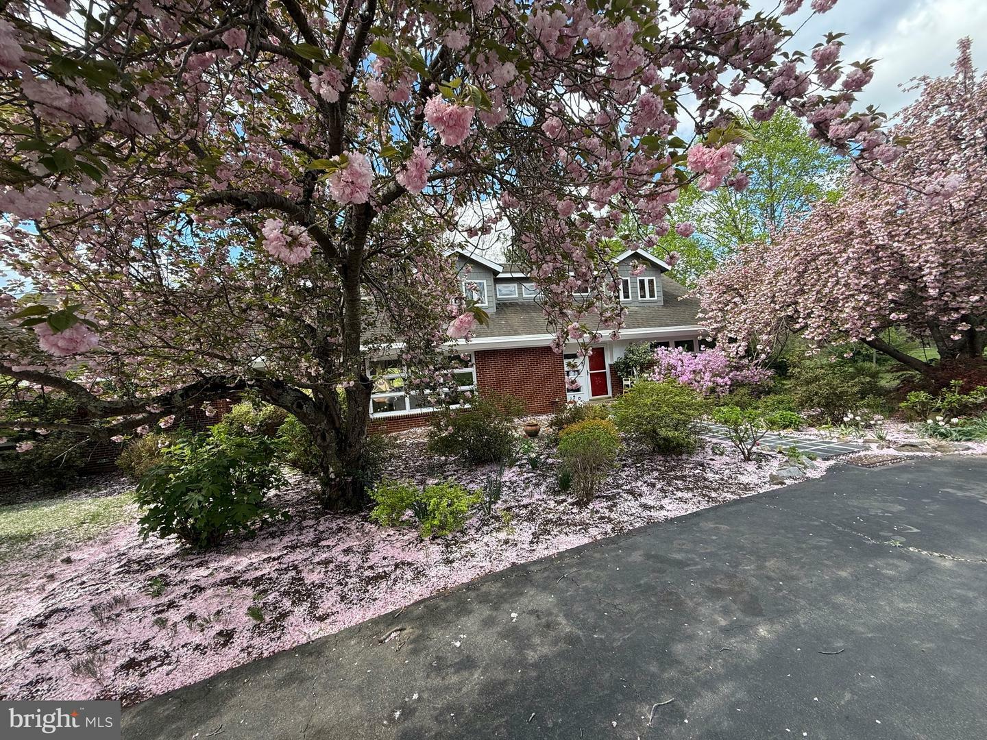Property Photo: 304 Ingleside Drive VA 22405