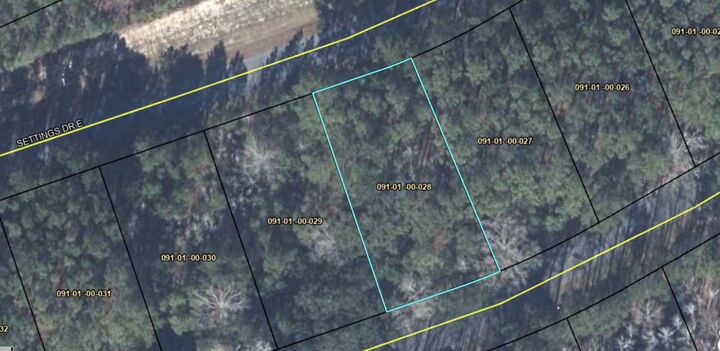 Property Photo:  237 Founders Oak Way  SC 29945 