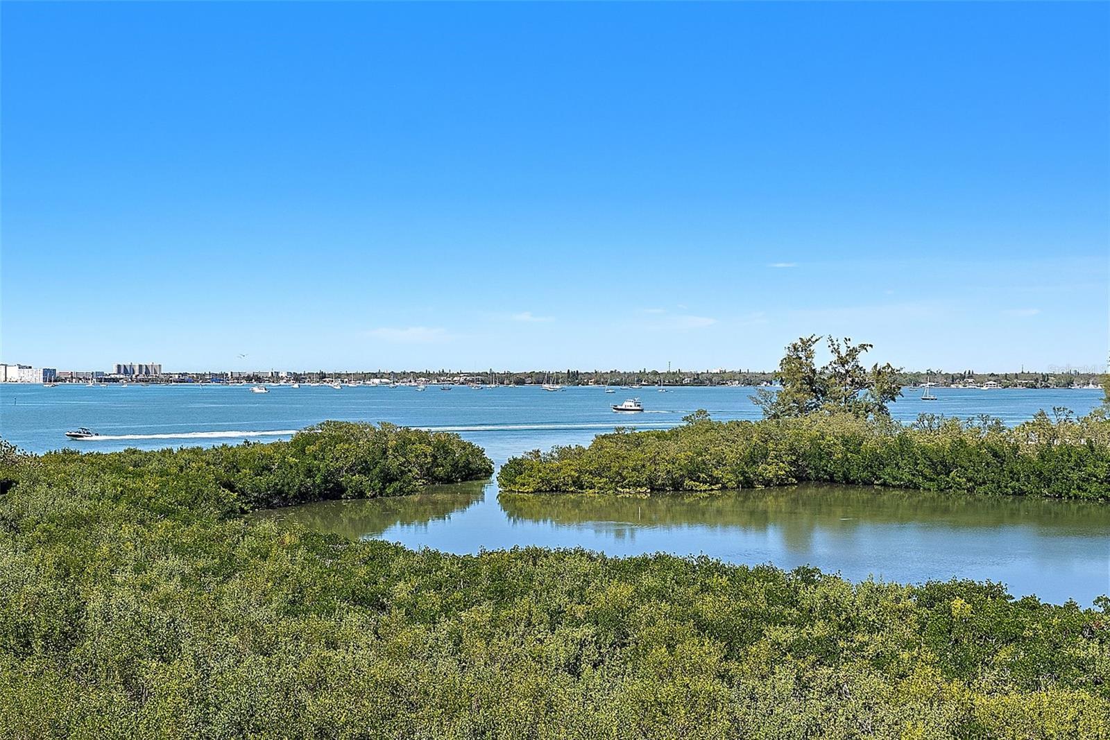 Property Photo:  4801 Osprey Drive S 404  FL 33711 