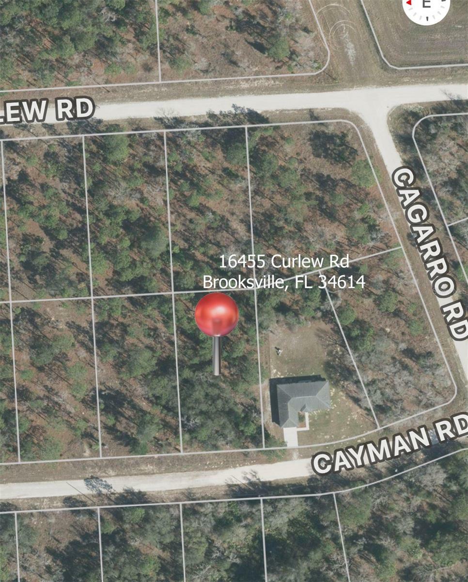 Property Photo:  16455 Curlew Road  FL 34614 