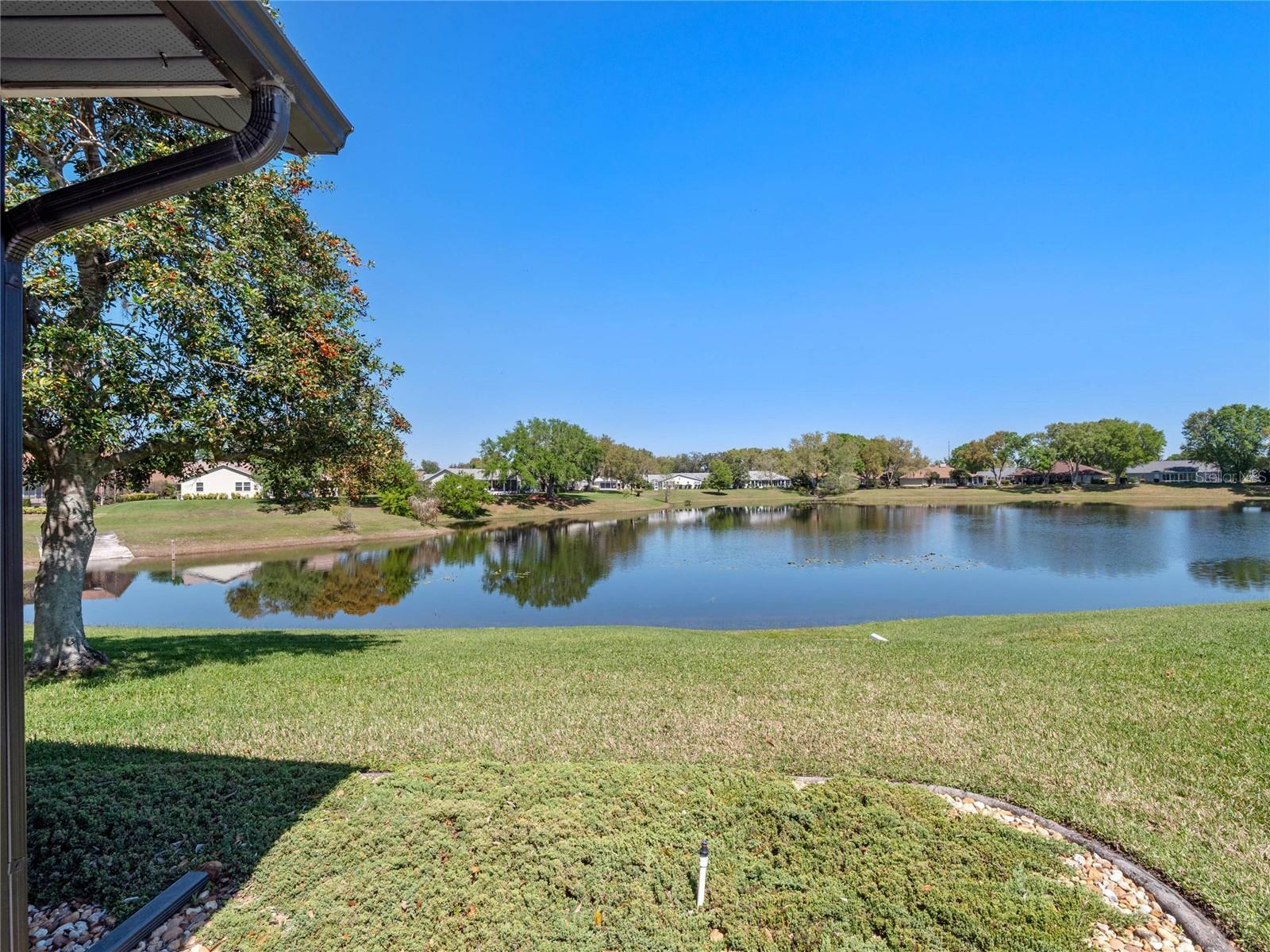 Property Photo:  26636 Evert Street  FL 34748 