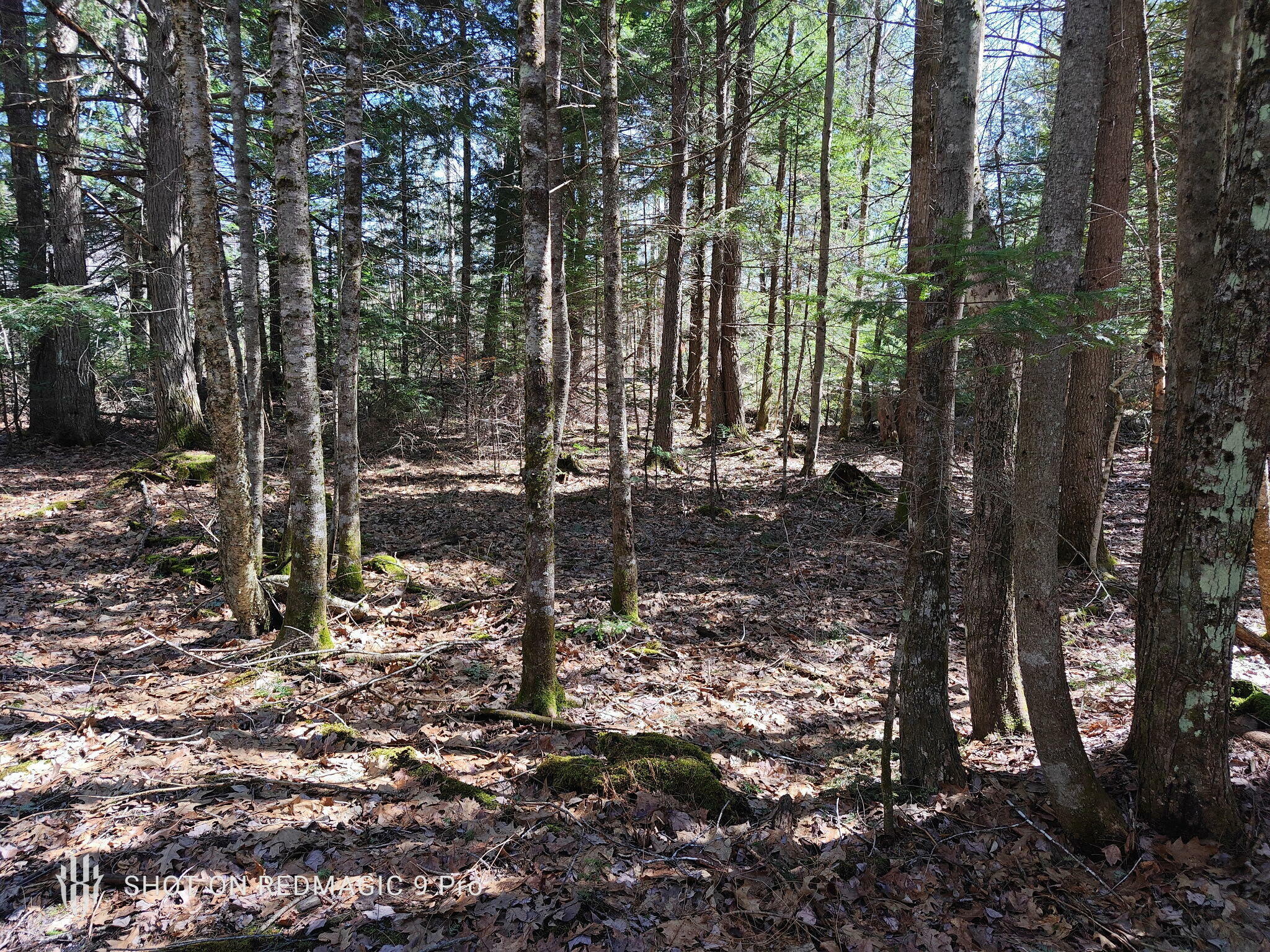 Property Photo: R1 38.1 Parsons Road ME 04281