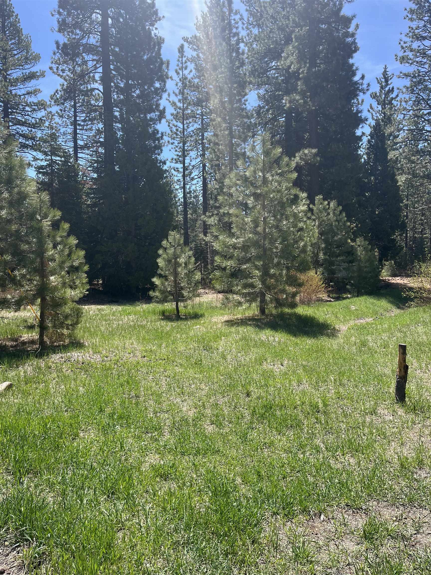 Property Photo: Tiger Avenue CA 96148