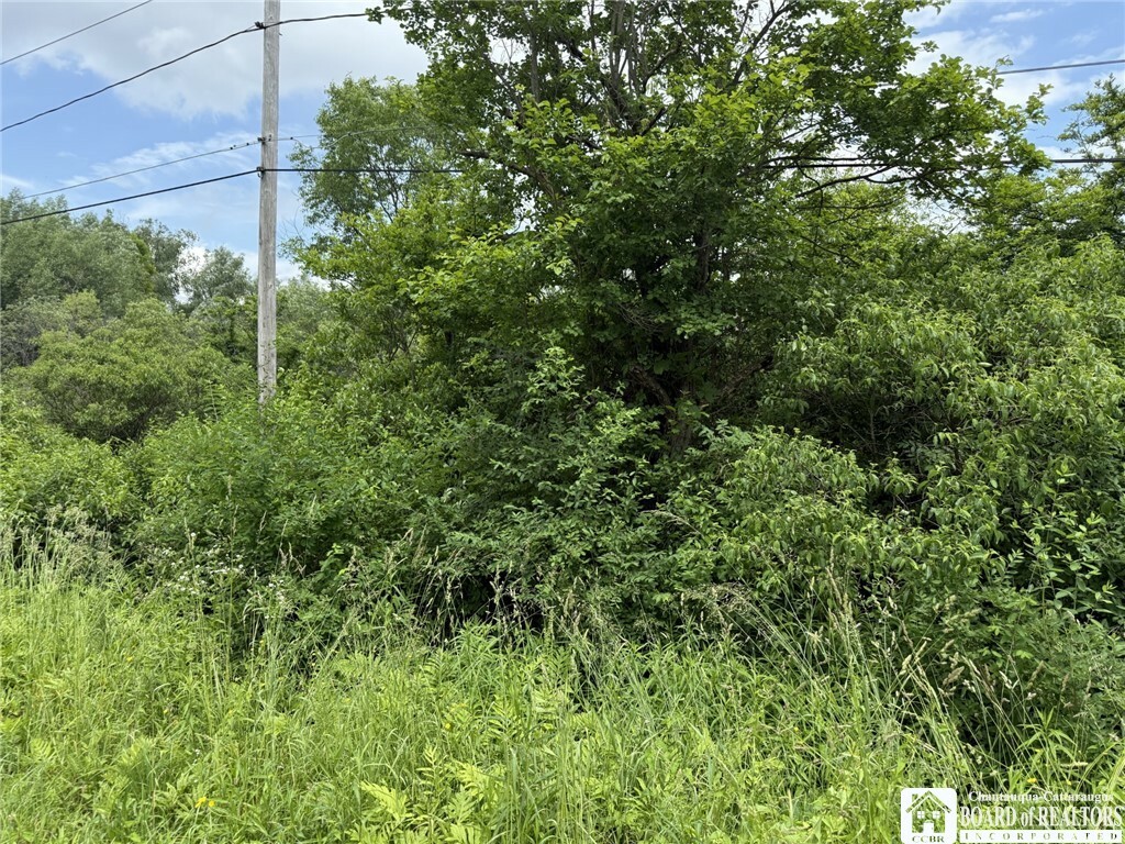 Property Photo: James Road NY 14782