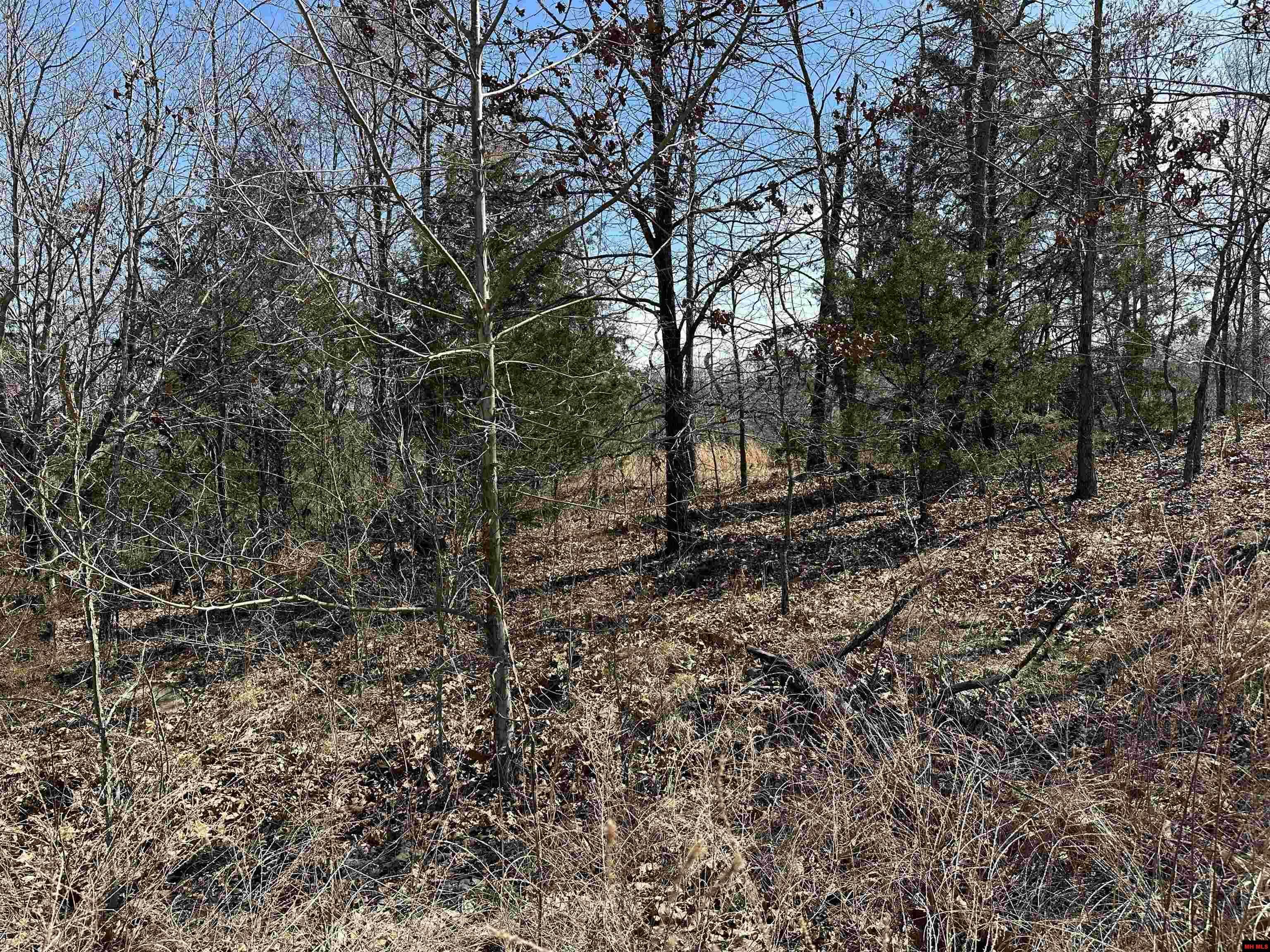 Property Photo: Lot 2 Deer Meadows Lane AR 72687