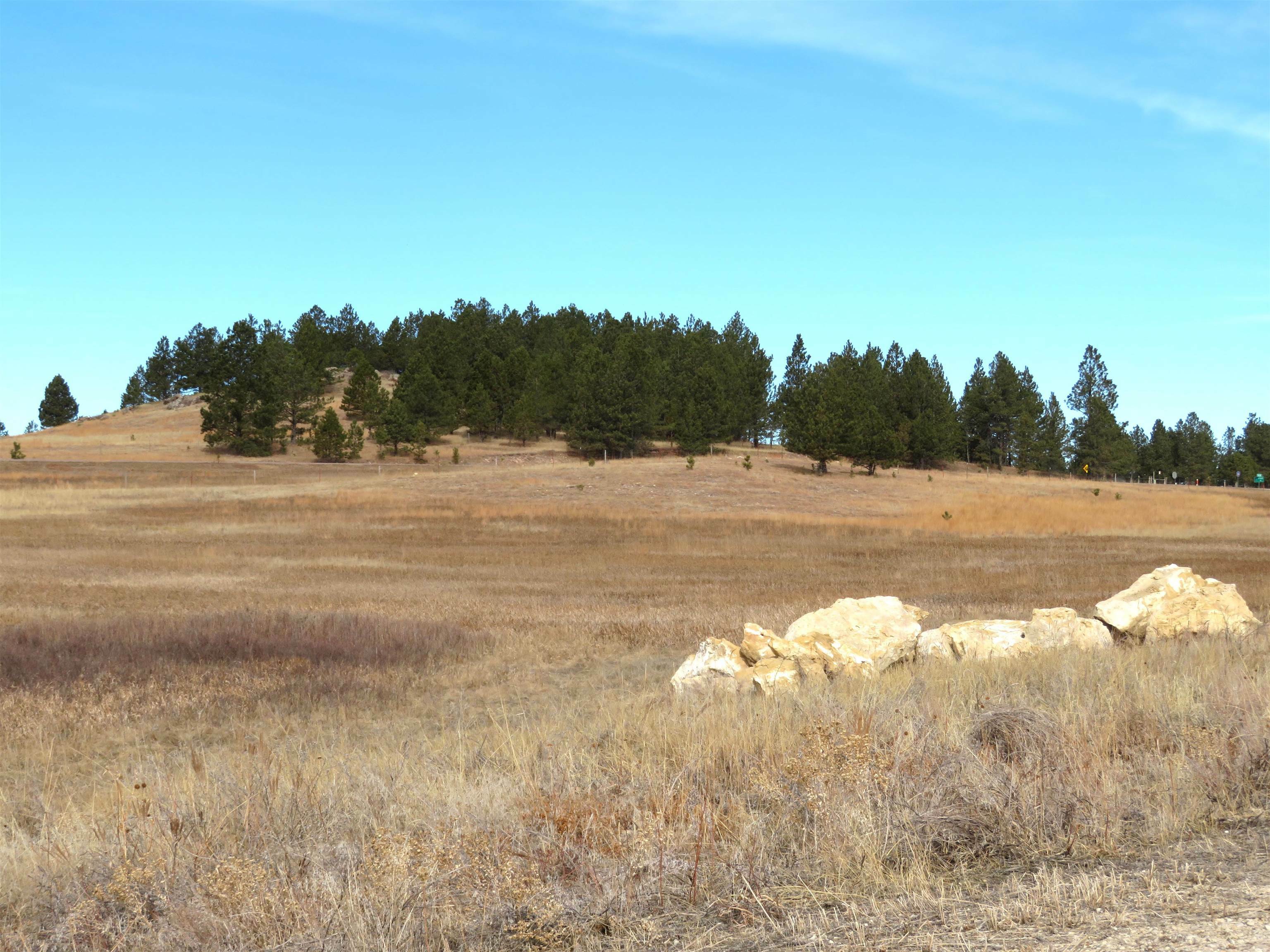 Lot 10 Lonesome Dove Street  Custer SD 57730 photo