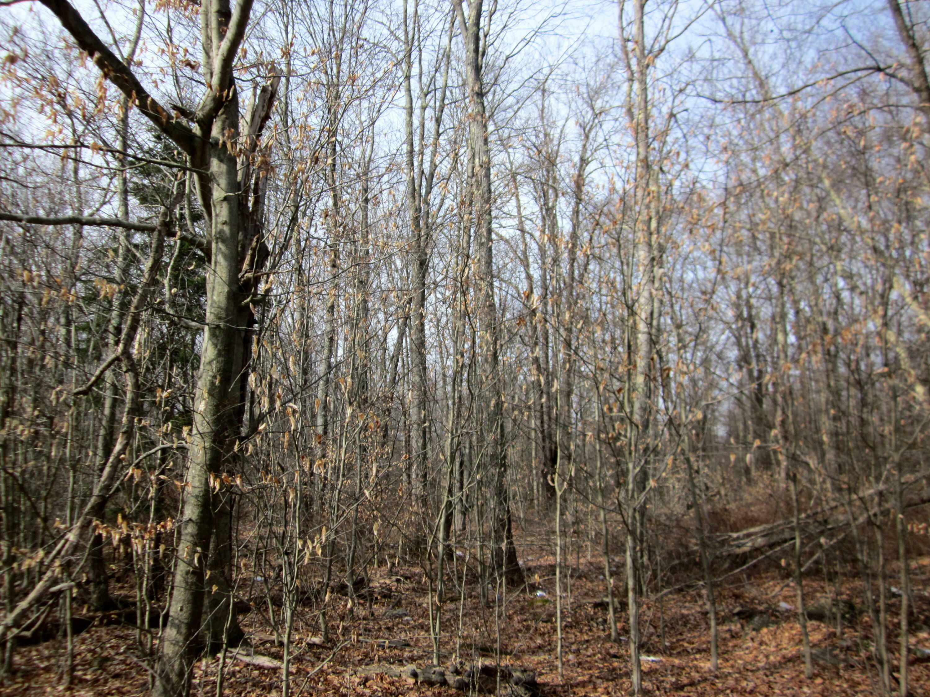 Property Photo: Lr 45039 Lr 45039 PA 18347