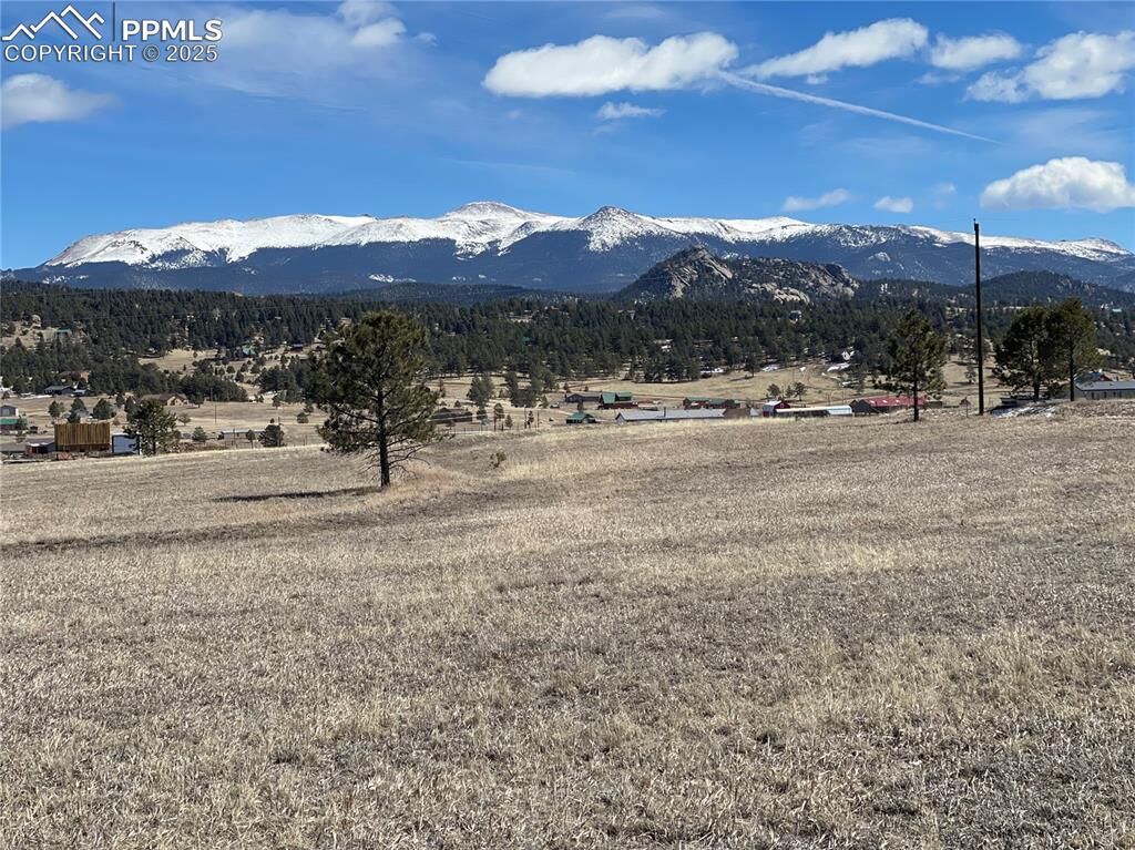 Property Photo:  383 Calle Del Sol  CO 80816 