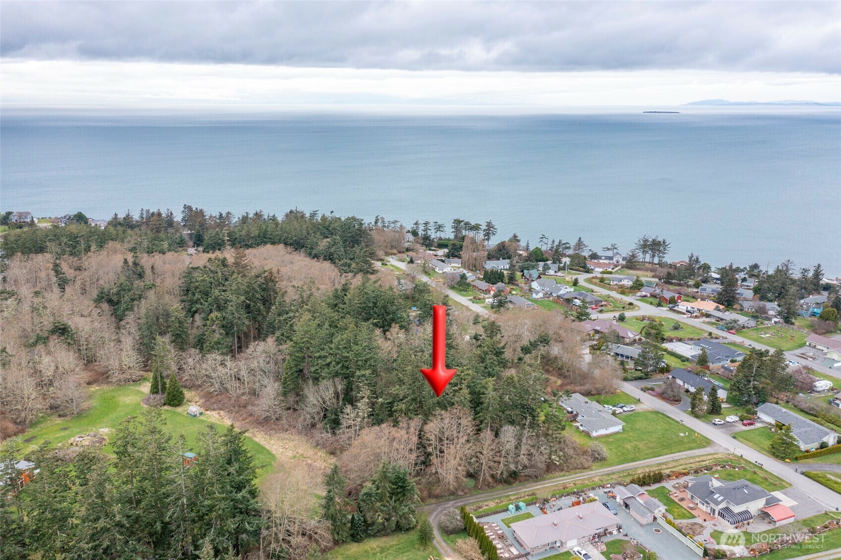 0  Sabrina  Oak Harbor WA 98277 photo