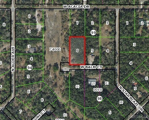 Property Photo:  12163 W Balm Court  FL 34428 