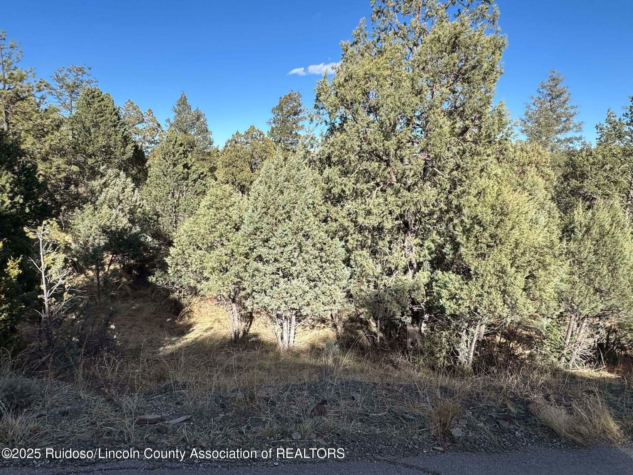 Property Photo:  108 Oak Grove Place  NM 88345 