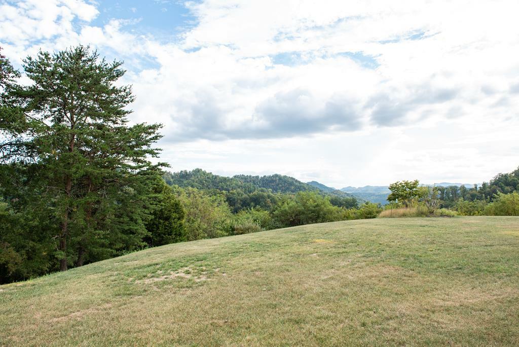 Property Photo:  Lot 41 Mountainview Court  KY 41501 