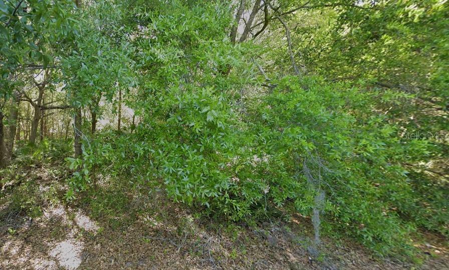 Property Photo: Pershing Avenue FL 32822