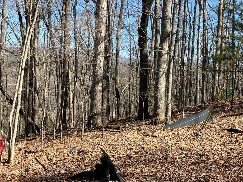 Property Photo: Lot 4 Mirandi Drive NC 28909