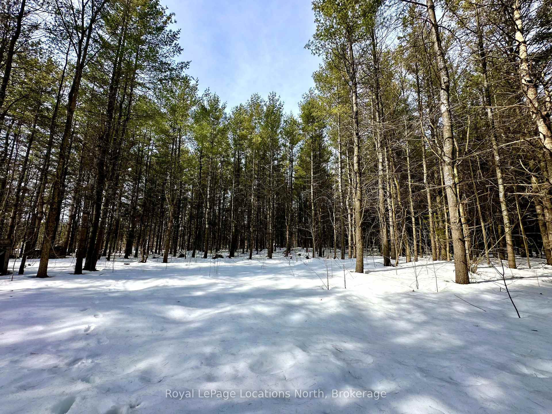 Property Photo:  777215 Highway 10 N/A  ON N0H 1R0 