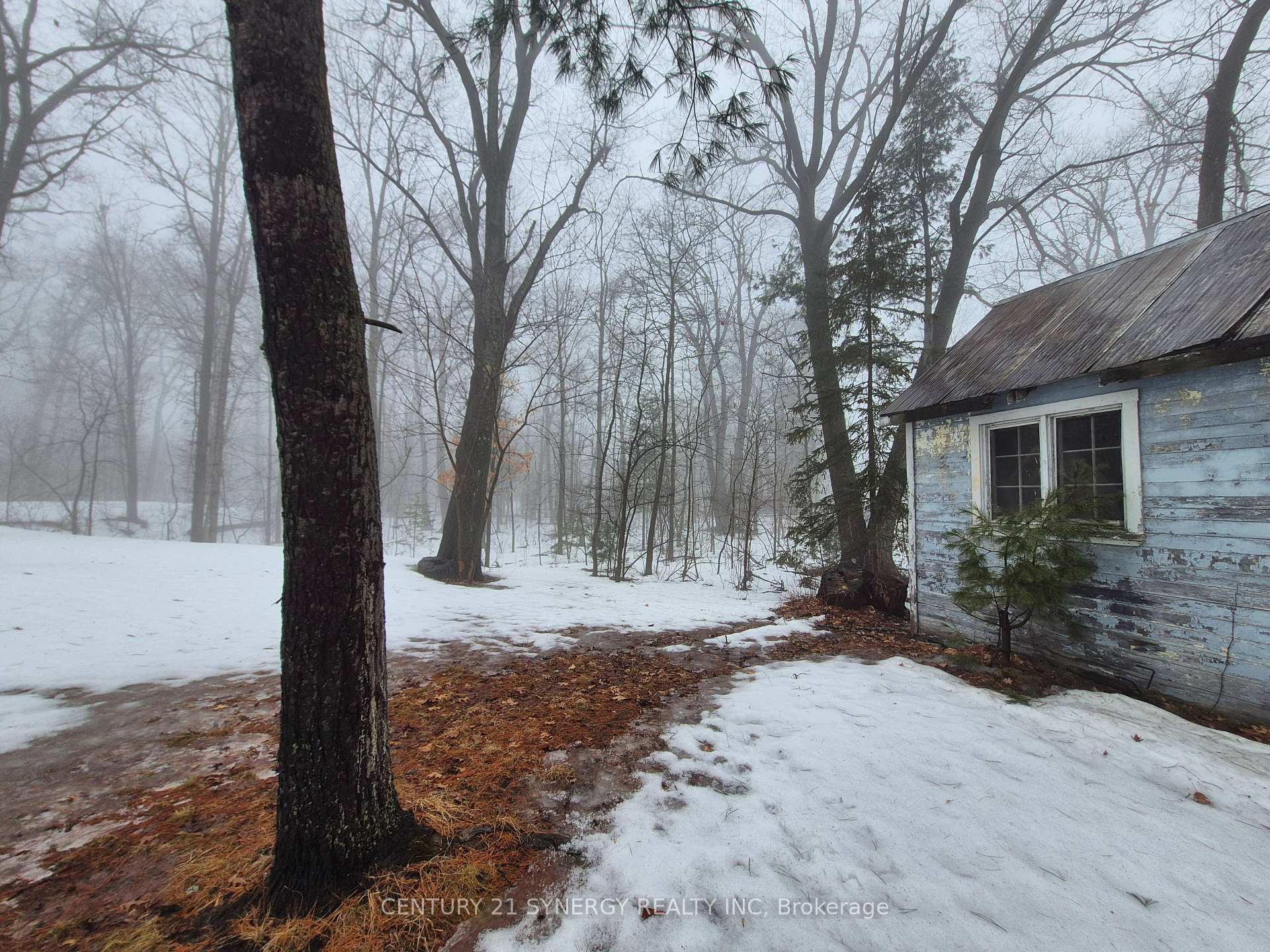 Property Photo:  149 Lane Street  ON K0A 3M0 