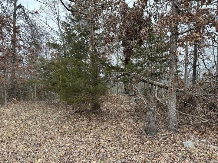 Property Photo:  Lot 2 Deer Meadows Lane  AR 72687 