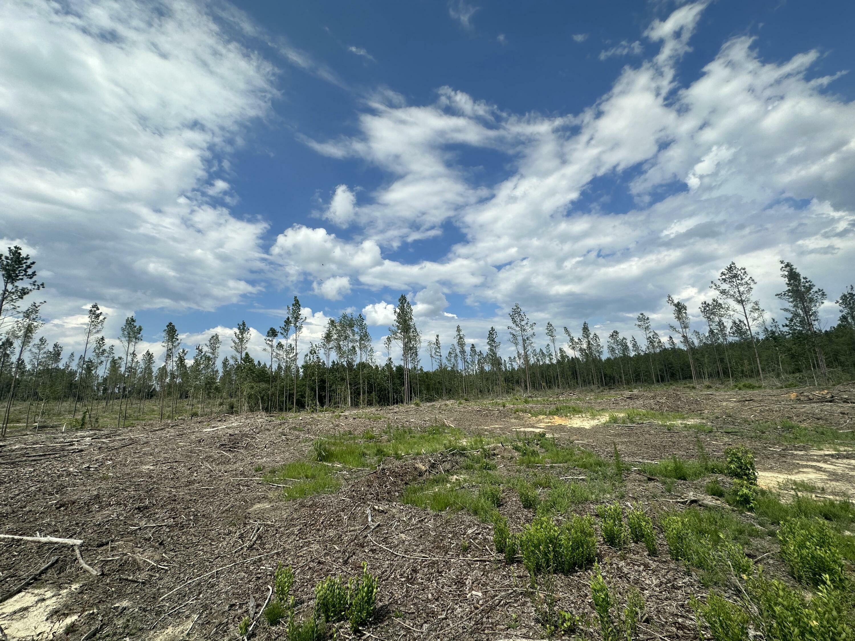 Property Photo: Parcel B Yellow River Baptist Church Road FL 32531