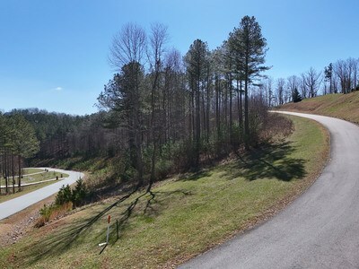 Property Photo: Lot 54 Deyton Drive GA 30512
