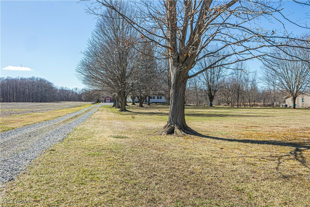8071 State Route 46  Cortland OH 44410 photo