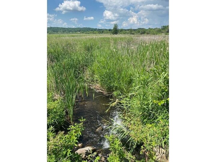 Property Photo: Lot C 113th Street MN 56309