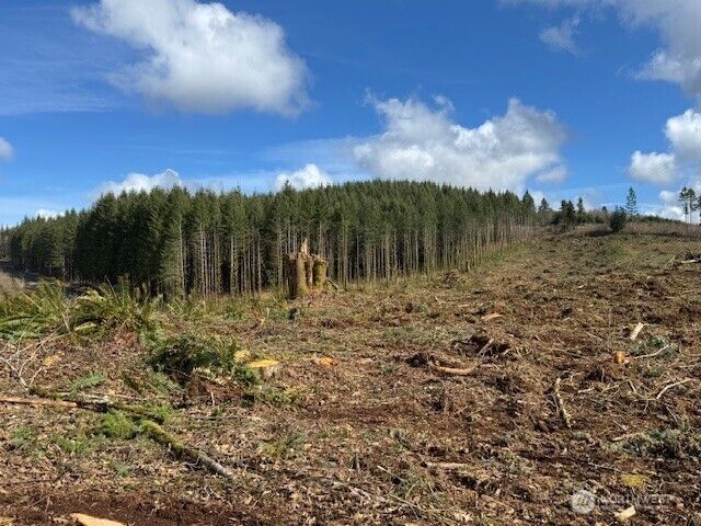 Property Photo: 0 Lot 2 August Road WA 98532