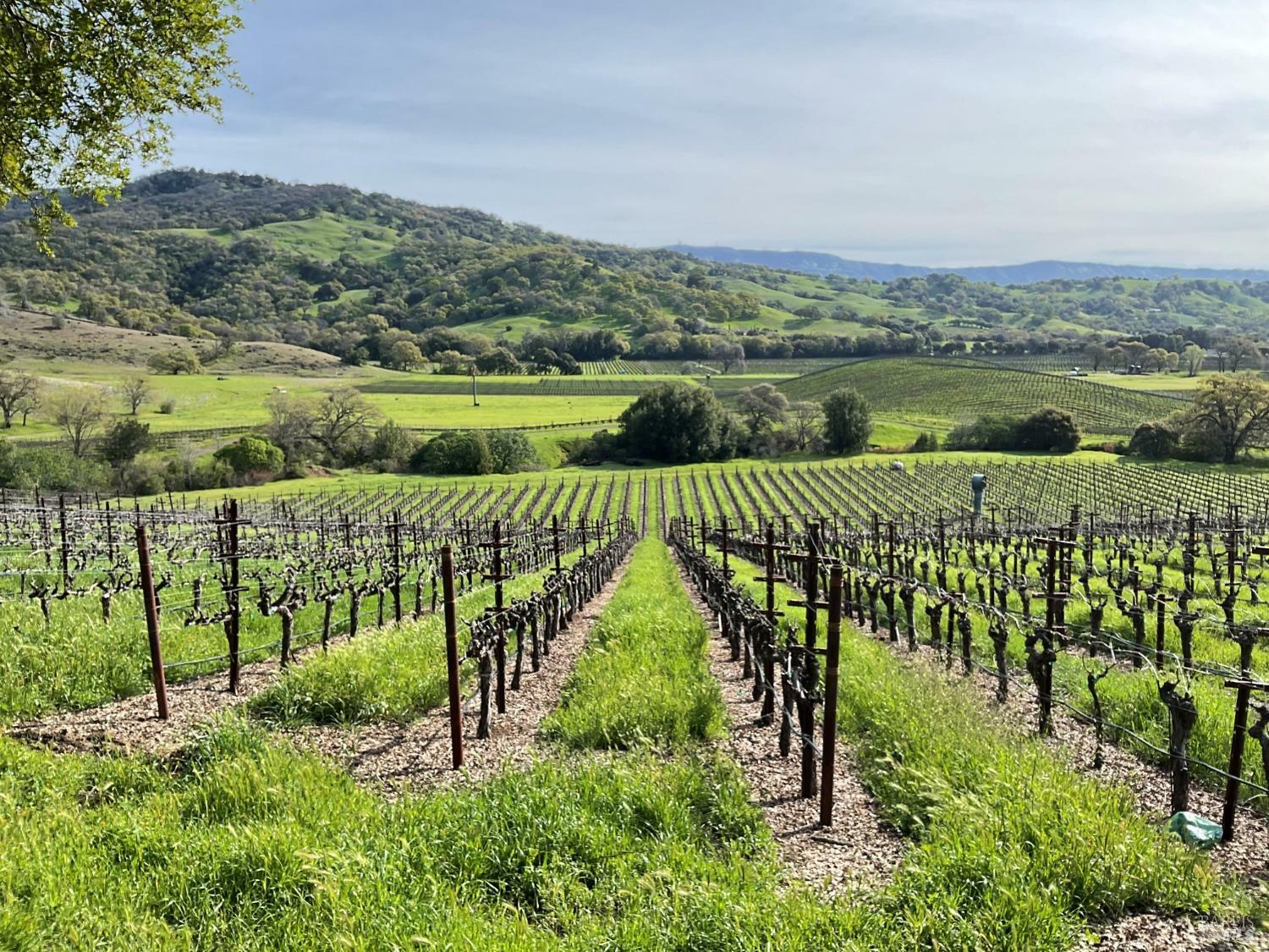 4060 Monticello Road  Napa CA 94558 photo