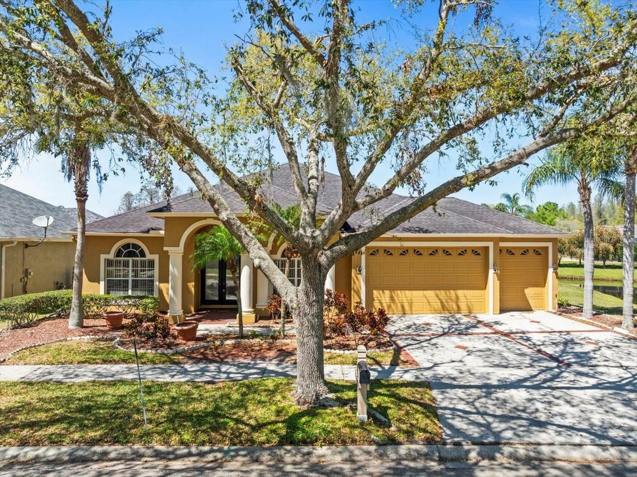 Property Photo: 19230 Wind Dancer Street FL 33558