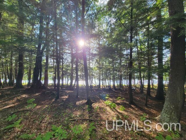 Property Photo:  Tbd Wildwood Drive  MI 49935 