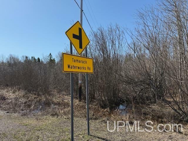 Property Photo: Tbd M-203 Highway MI 49913