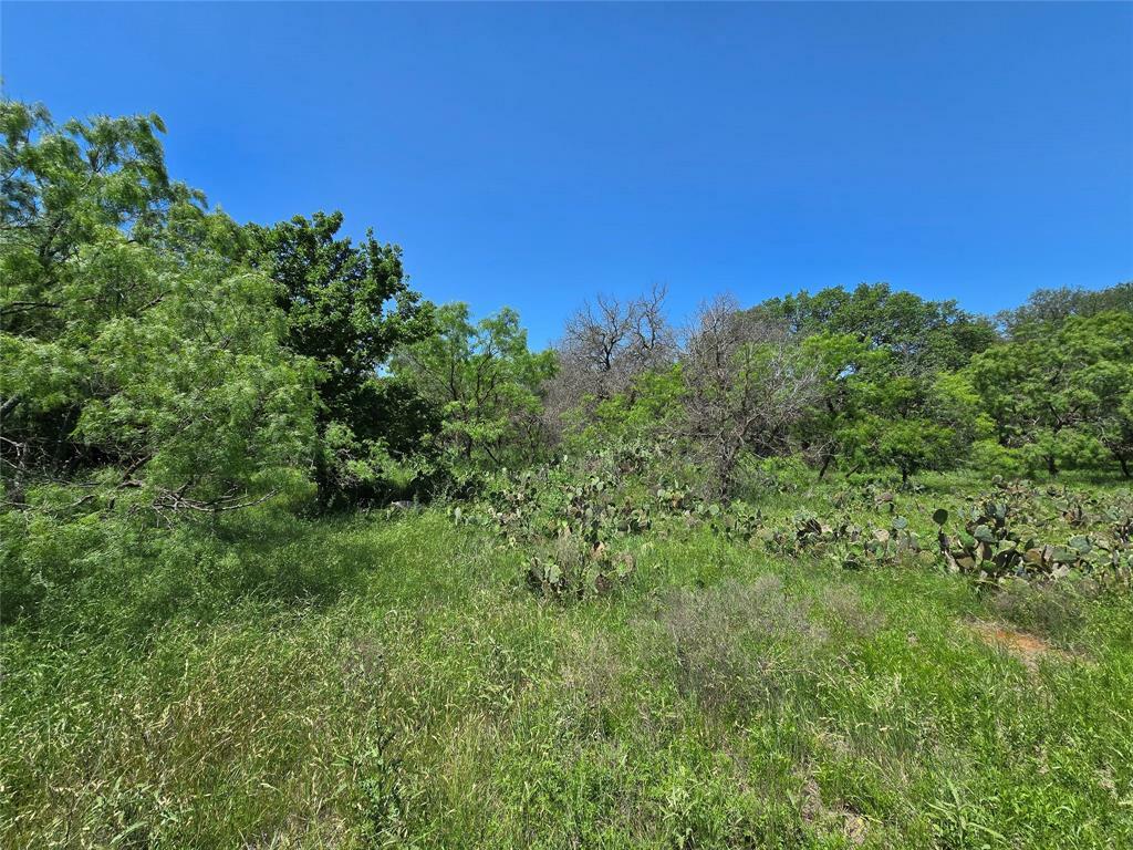 Property Photo: 450 County Road 250 TX 76455