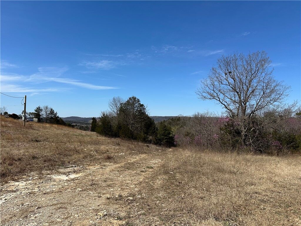 Property Photo:  Lot 3 Deer Meadows Lane  AR 72687 