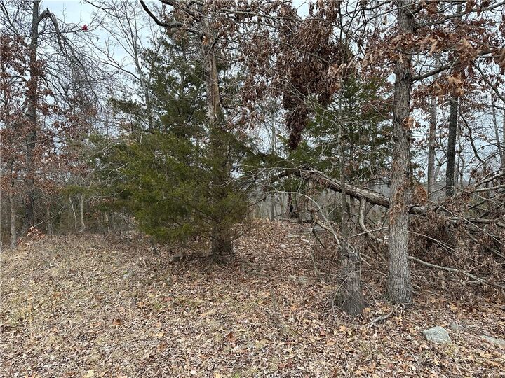 Property Photo:  Lot 1 Deer Meadows Lane  AR 72687 