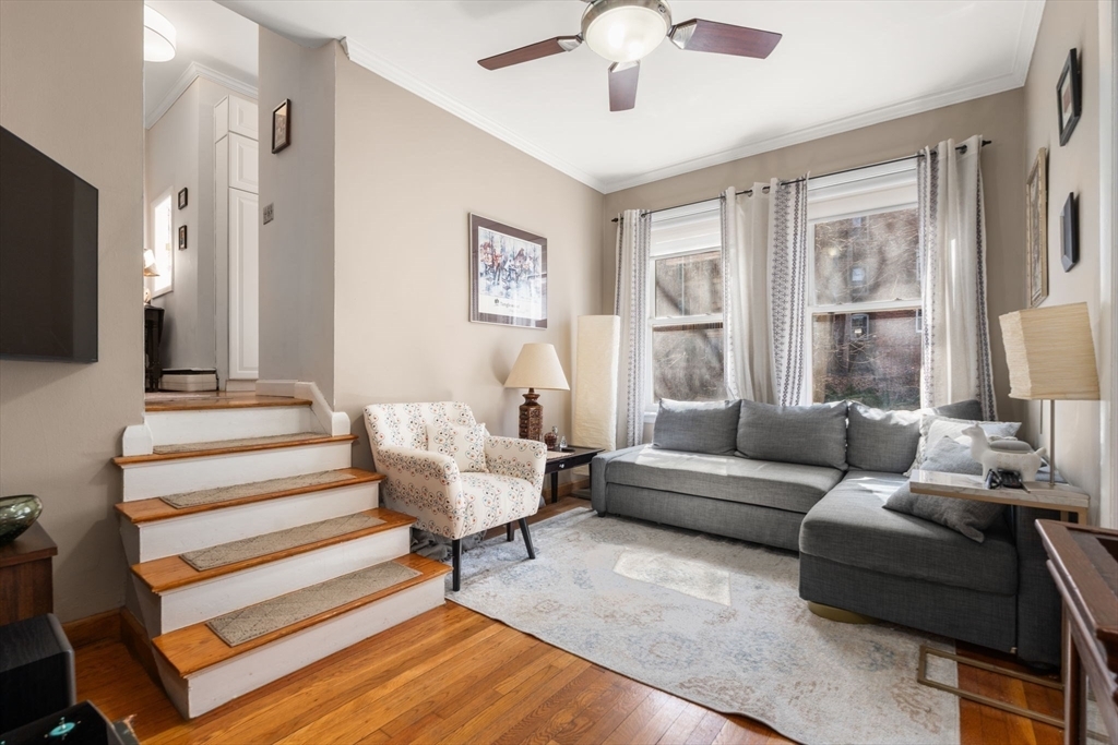 15 University Rd #32  Brookline MA 02445 photo