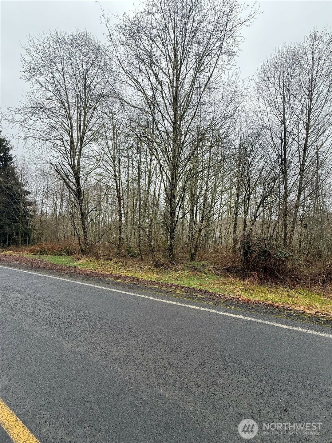 Property Photo: 418 August Rd WA 98570
