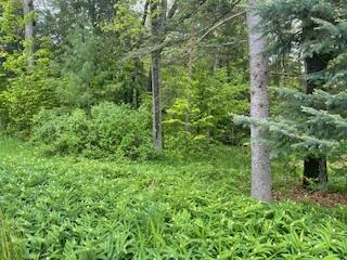 Property Photo: 124 Cadillac Avenue MI 48629