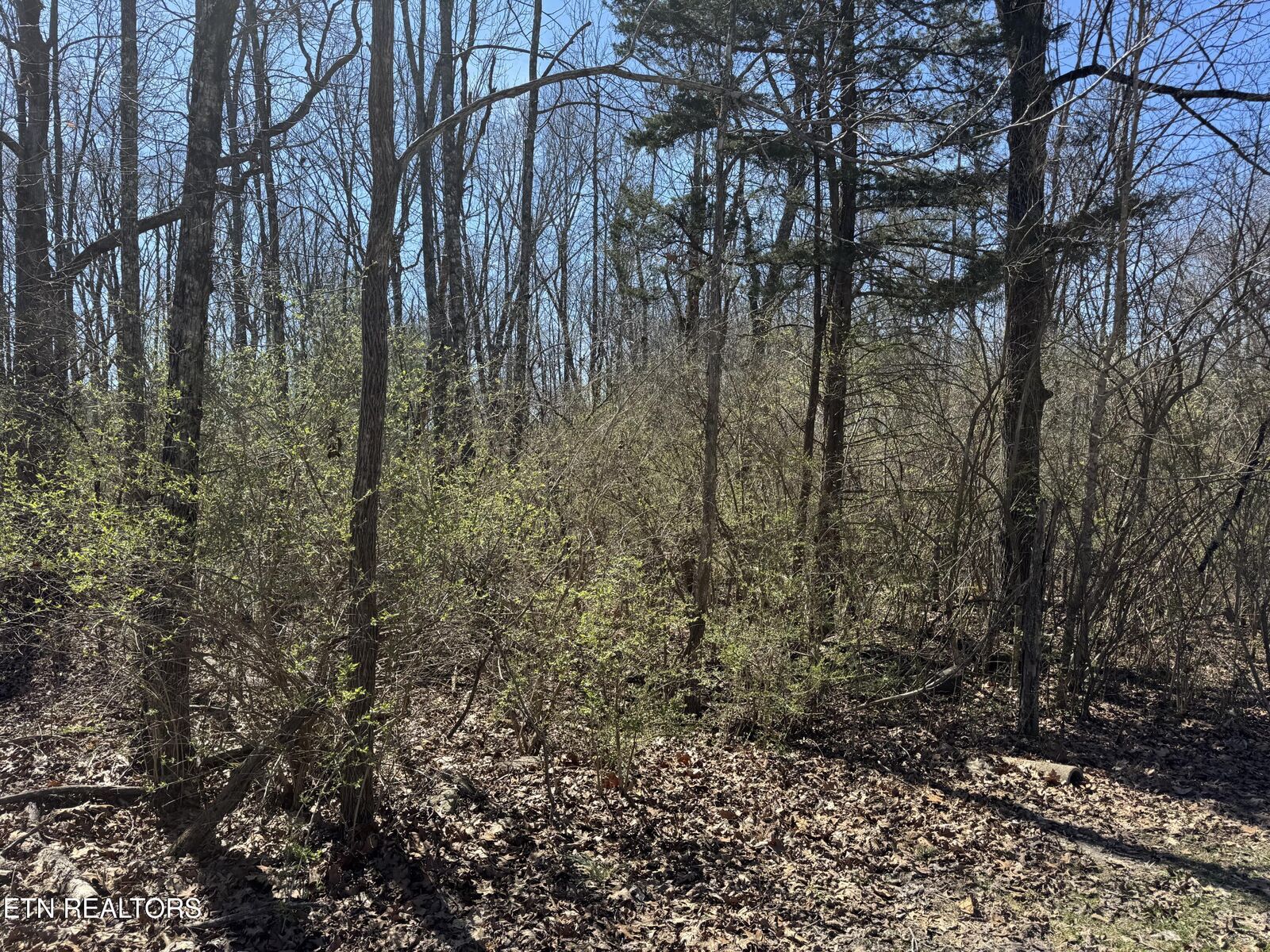 Property Photo: 0 Tenth/Knight TN 38555