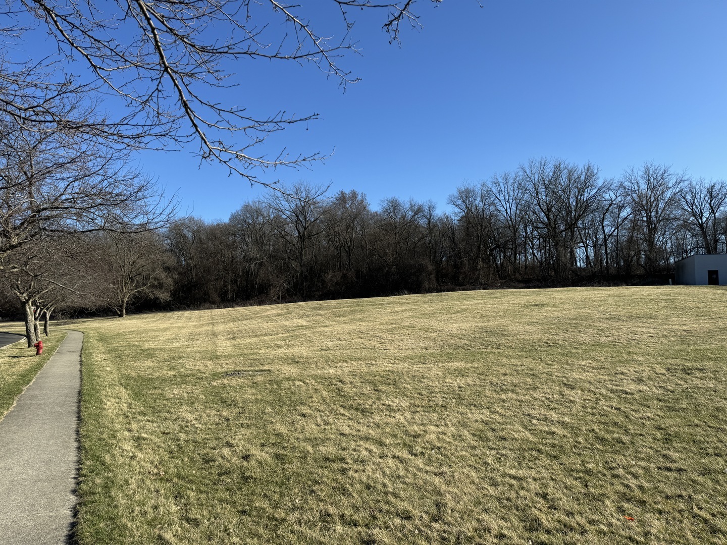 Property Photo: 0000 Strom Drive IL 60118