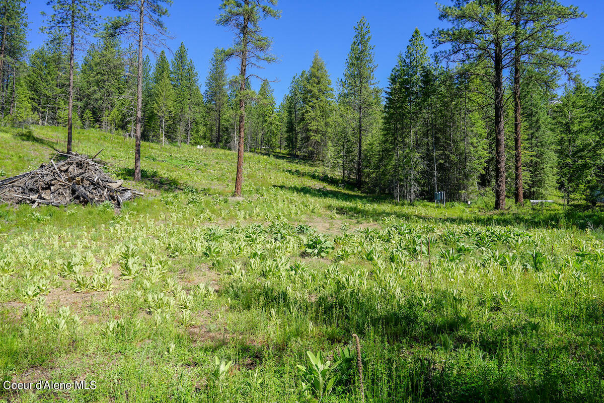 Property Photo: Nka Meadowland Drive ID 83804