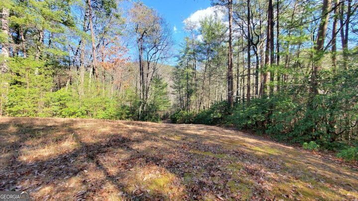 Property Photo: 51+ Acre Mountain Cove Way 1-8 GA 30522