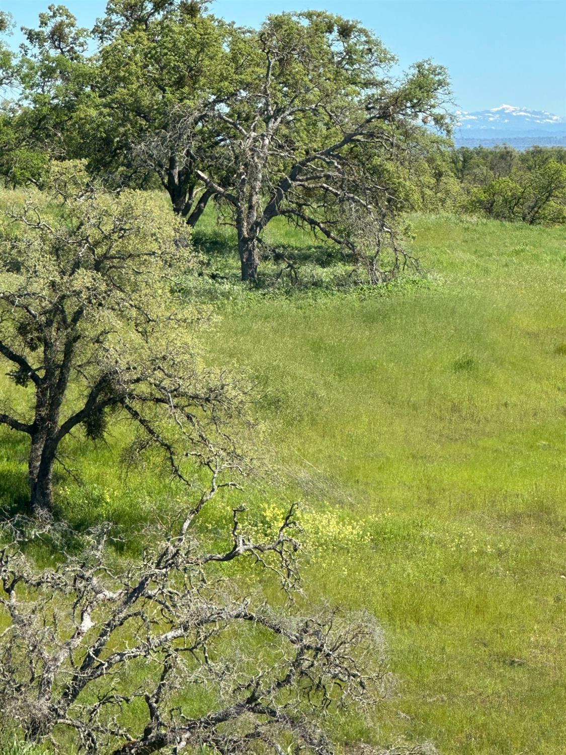 Property Photo: 49 Cormorant CA 95254