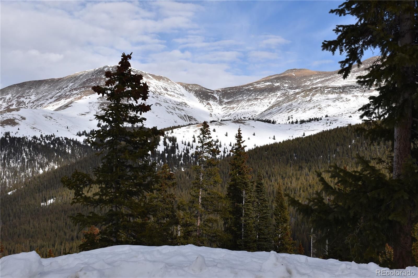 Property Photo:  404 Carroll Lane  CO 80424 