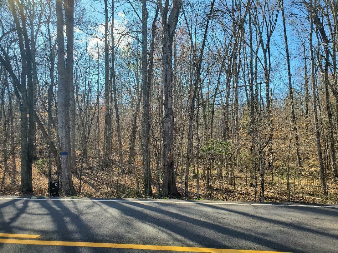 Property Photo: Lot 18 Highway 304 TN 37322