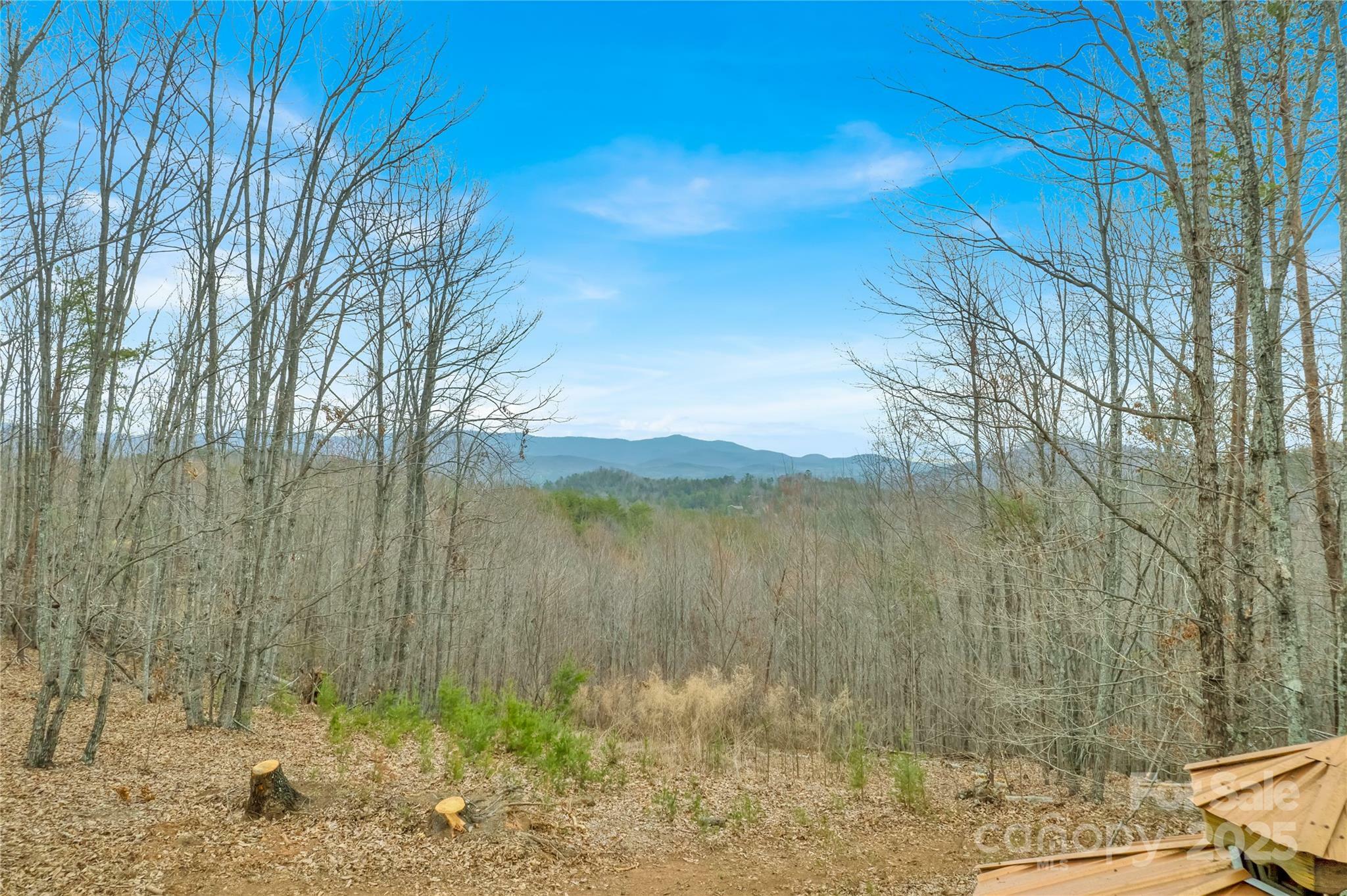 Property Photo: 384 Woodgate Drive NC 28018