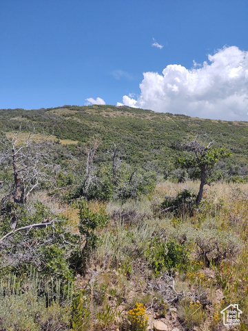 Property Photo: Unknown UT 84632