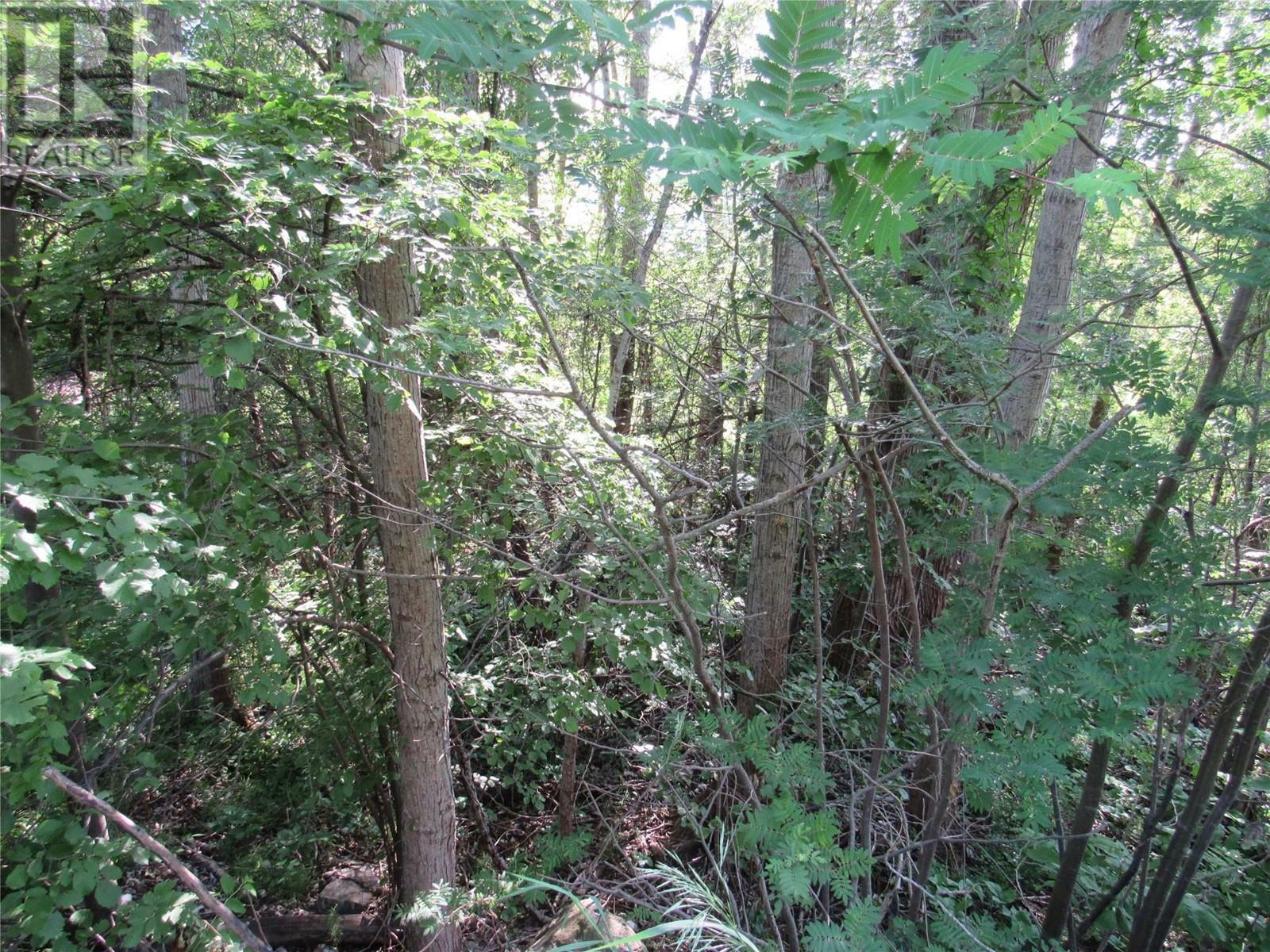 Photo de la propriété:  1112 Pass Creek Road  BC V0G 1X0 